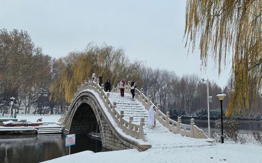 【新诗大观】落雪的日子||文/邵峰 ||诵/文嘉(图2)