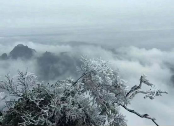 《云台山～雪》作者/学堂（图6）