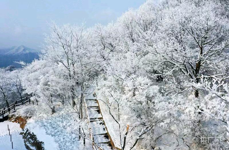 《云台山～雪》作者/学堂（图10）