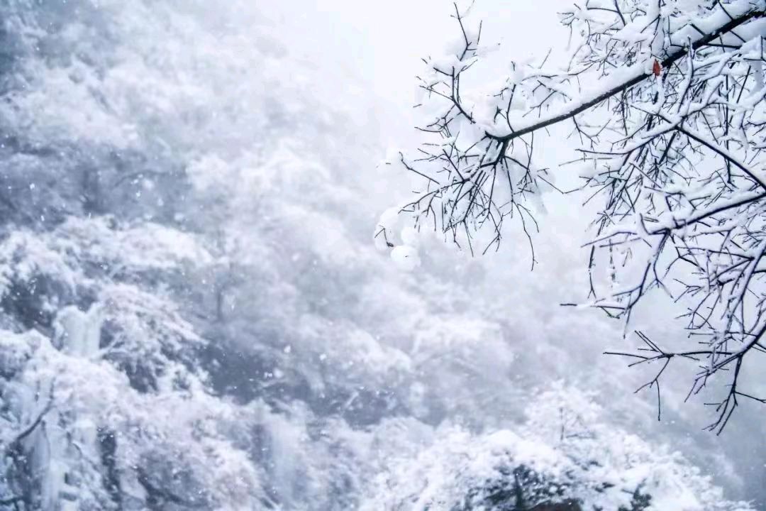 《云台山～雪》作者/学堂（图9）