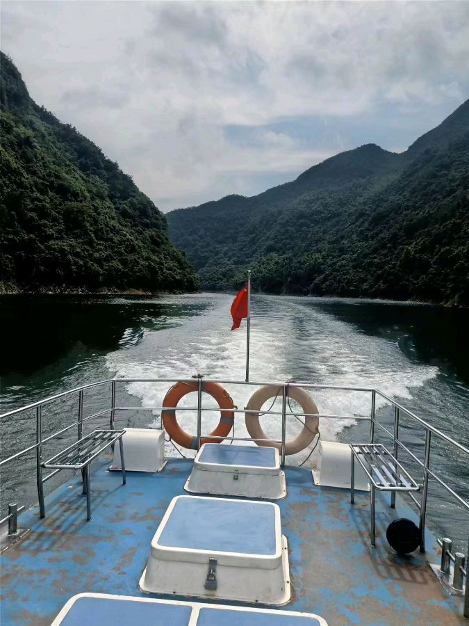闲吟 （外一首） 陈建平