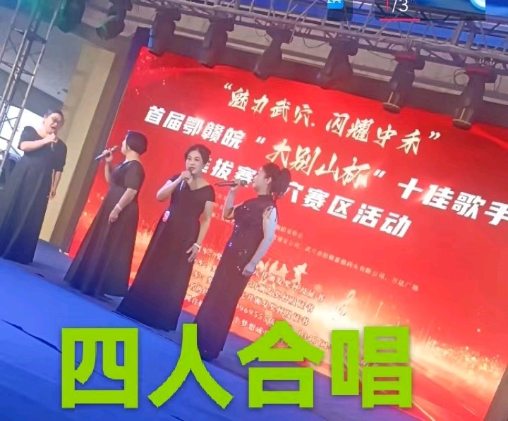 吴九明：《首届鄂赣皖“大别山怀”十佳歌手选拨赛武穴赛区活动鸣锣开幕》（图5）
