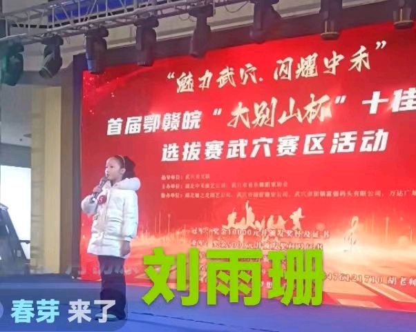 吴九明：《首届鄂赣皖“大别山怀”十佳歌手选拨赛武穴赛区活动鸣锣开幕》（图8）