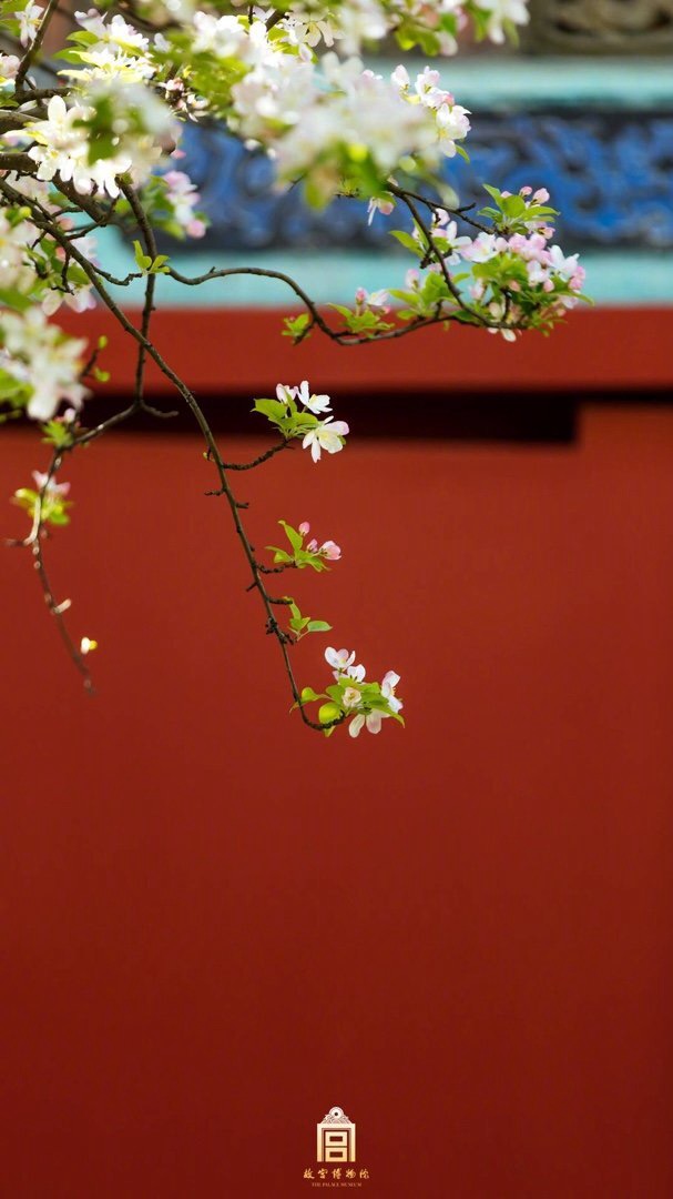 咏梨（图7）