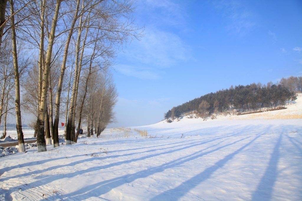 【新诗大观】走在飘雪的旷野||文/吕芹（图3）