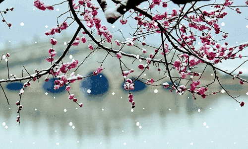 《洞仙歌 · 下雪》作者/张志谋（图2）