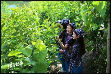 联机全球发布吴华龙作品欣赏（图3）