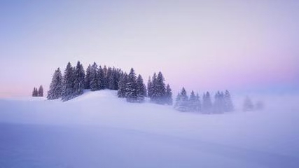 七绝·雪(文/冯清明)……莲叶之珠文学社(图3)