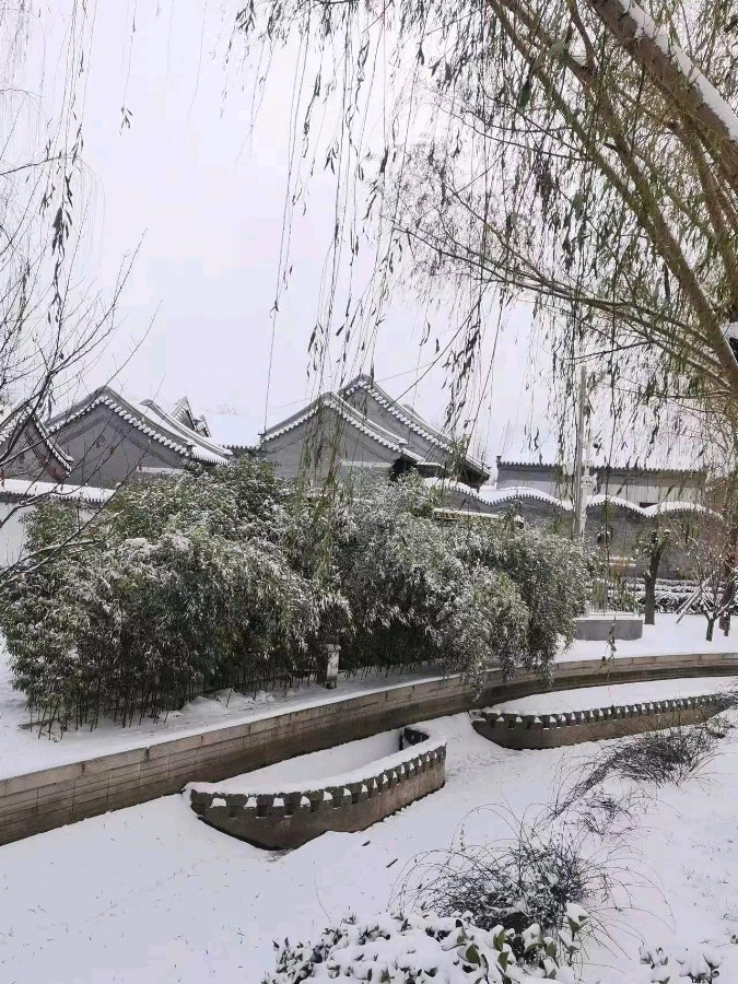 初雪——文/鸿雁——【今日诗坛】征稿——都市头条（图4）