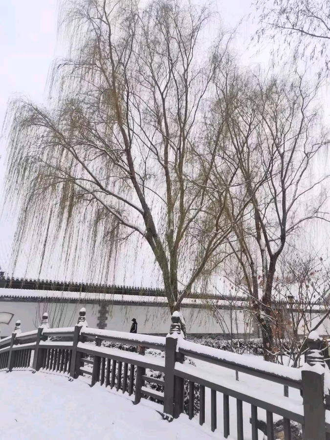 初雪——文/鸿雁——【今日诗坛】征稿——都市头条（图6）