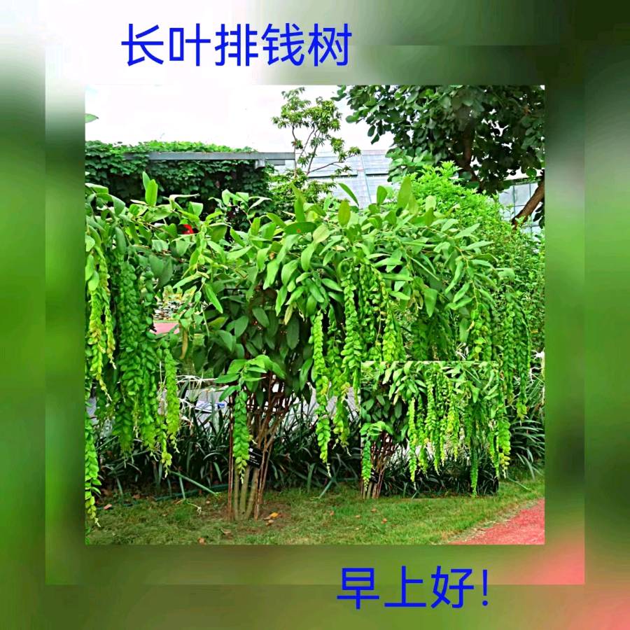 联机全球发布马洪武作品欣赏（图323）