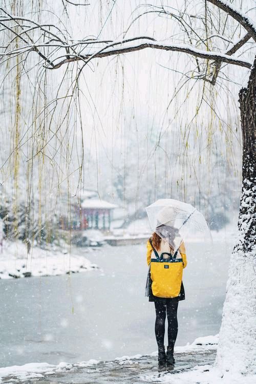 好诗好评《尘世有雪》作者:远方【诗评:雁南飞】【桃源国际诗歌文化传媒】好诗鉴赏（图6）