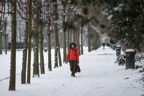 好诗好评《尘世有雪》作者:远方【诗评:雁南飞】【桃源国际诗歌文化传媒】好诗鉴赏（图7）