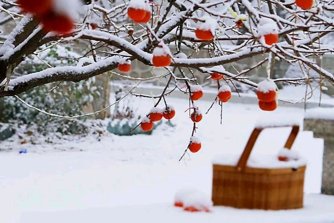 【十三字/回文/词】岭雪 冯斌一鄂（图4）