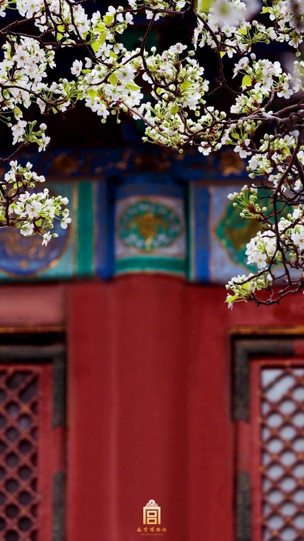 咏梨（图2）