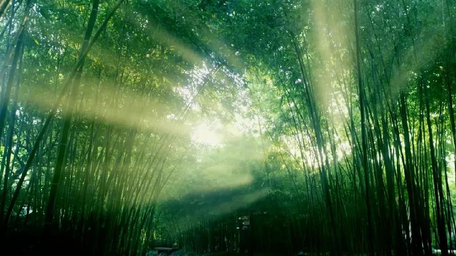 张昕词曲八首(图6)