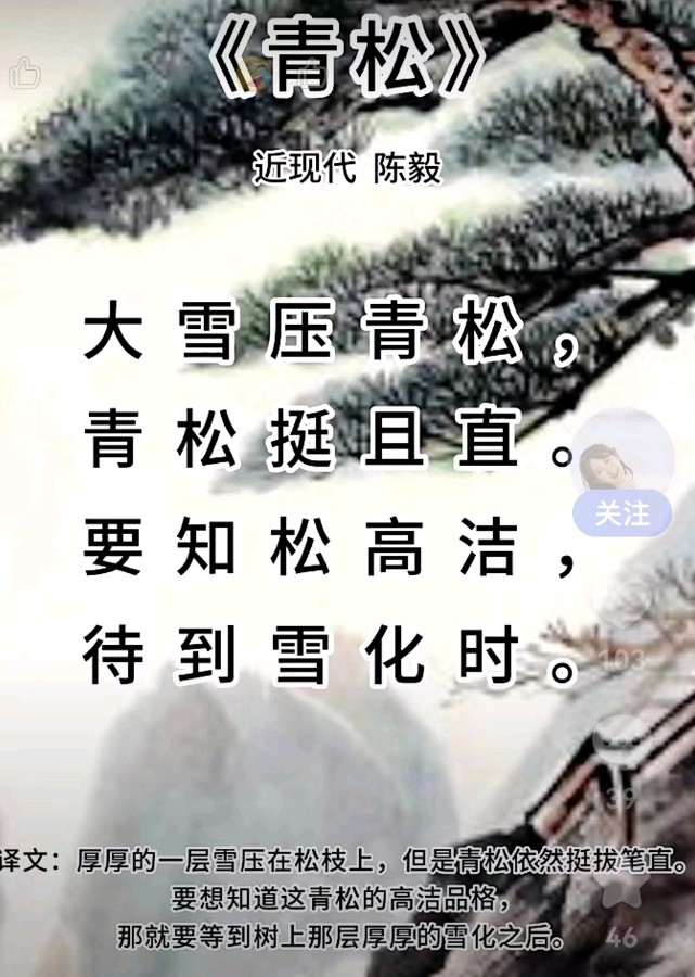 韩庚的《青松》