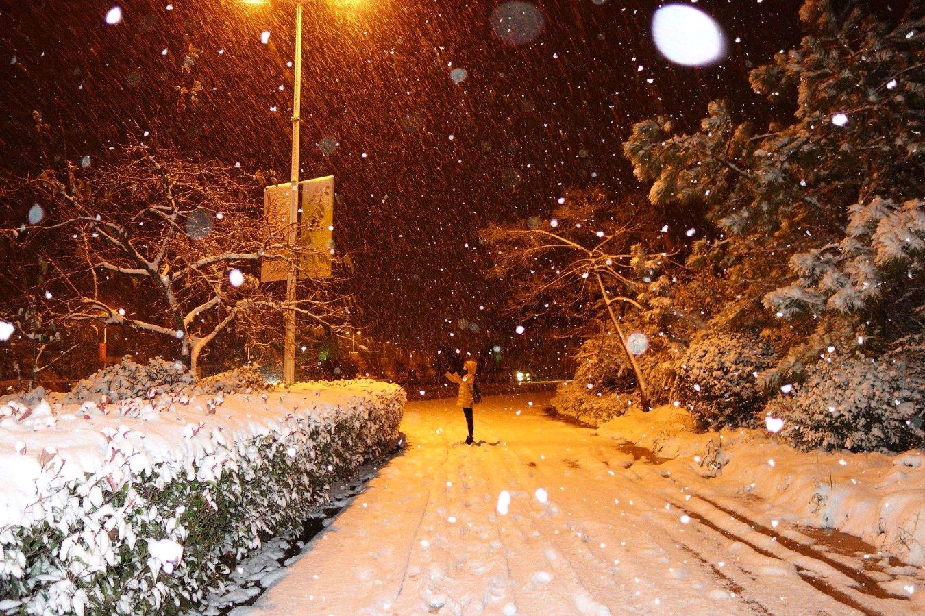 王金政的《雪夜随吟》