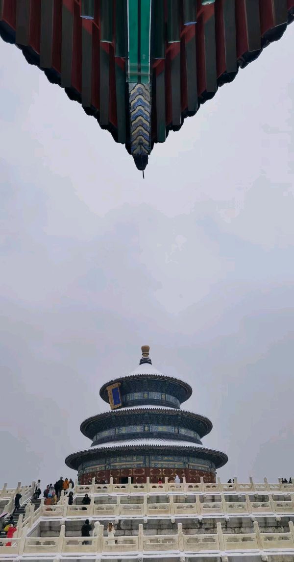 鹰的翅膀