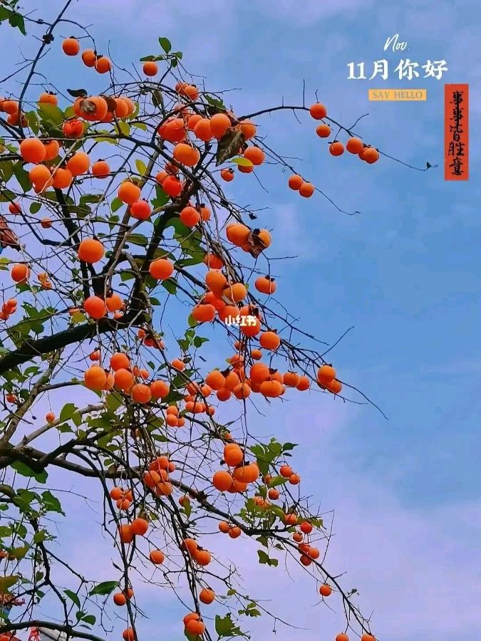 【荣耀中国】往事随风文/秋之韵（图3）