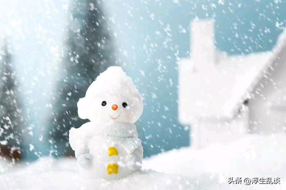 【荣耀中国】雪，我爱你文/武可强(山东临沂)（图3）