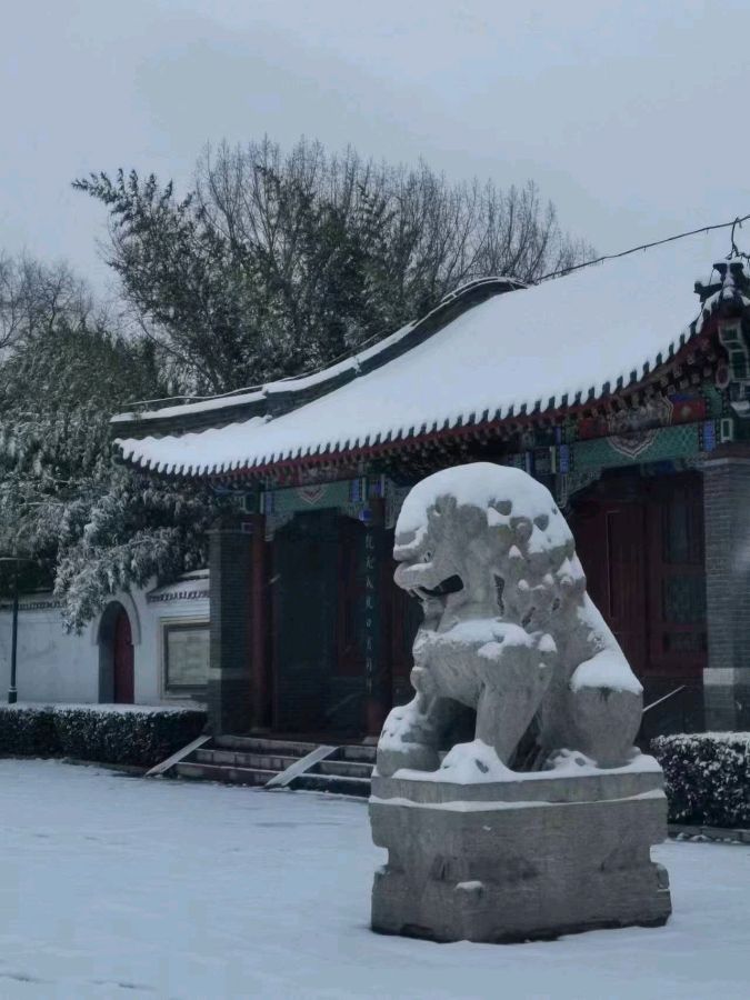 【荣耀中国】雪，我爱你文/武可强(山东临沂)（图2）