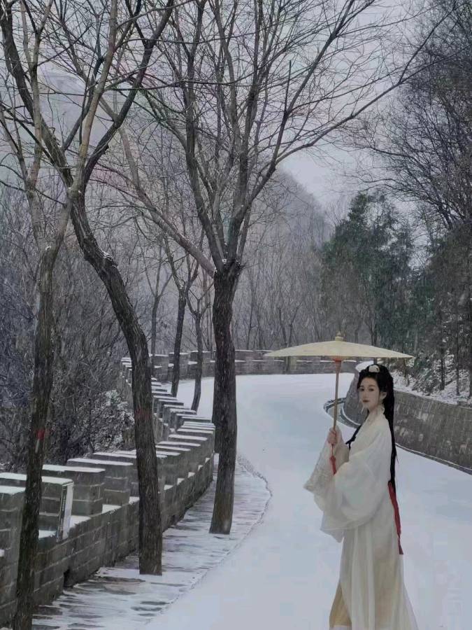 【荣耀中国】沁园春 京城大雪作者/田兴才（图3）