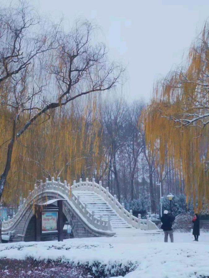【荣耀中国】冬至作者/海洋（图2）