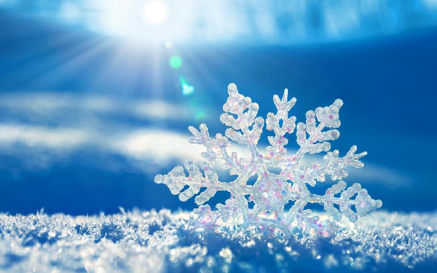 雪花(外一首)诗||苏珊(图13)