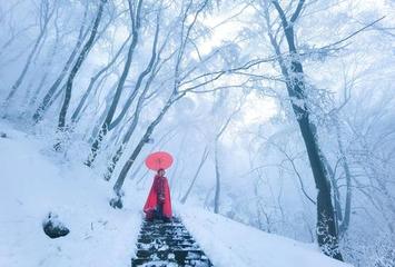 《听，雪的声音》作者:记得你的好【主播:丹桂】【桃源国际诗歌文化传媒】用声音传递温暖以诵读致敬人生♬（图6）
