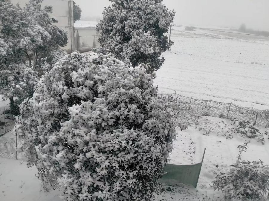 雪的遐思～诗||柏厚发（阳光）（图12）