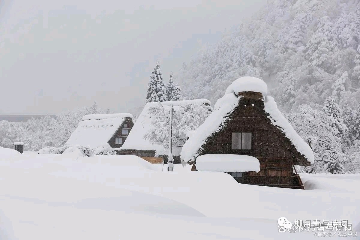 张广新的《七绝•咏雪》