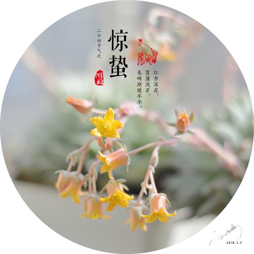 【重磅推出】廖万友老师//琴江诗苑第二十六期作品展（图2）