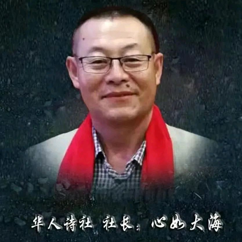 《精灵》作者/主播/心如大海 审核/李苹 音频制作/楼兰 主编/胡琴(图8)