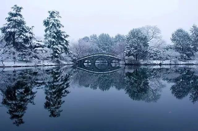 雪花(外一首)诗||苏珊(图15)