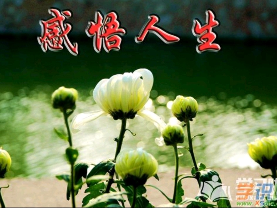 《九江文学社：北京头条》战斗英雄傅塘根书记散文欣赏《谢幕》【总第1949期】（图6）