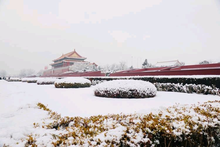 【新山东文学社】《初雪，给帝都披上银装》作者/迎夏 主播/星空（图6）