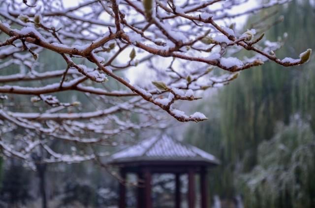 现实与未来(诗三首)||文/小节(图2)