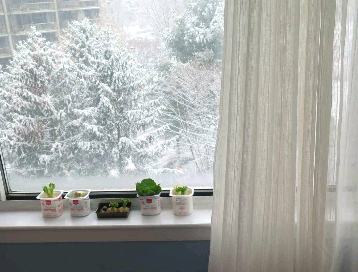 【明心文学】雪眼 作者/焦相成 主播/花之语（图2）