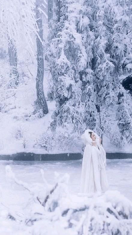 《爱在，雪花漫舞的冬季》作者:昨夜天【主播:梦里水乡】【桃源国际诗歌文化传媒】桃源♬ 馨声（图7）