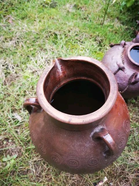 青年朗诵家隋源老师倾情朗诵【徐家万坛山赋】作者/徐章富（图5）