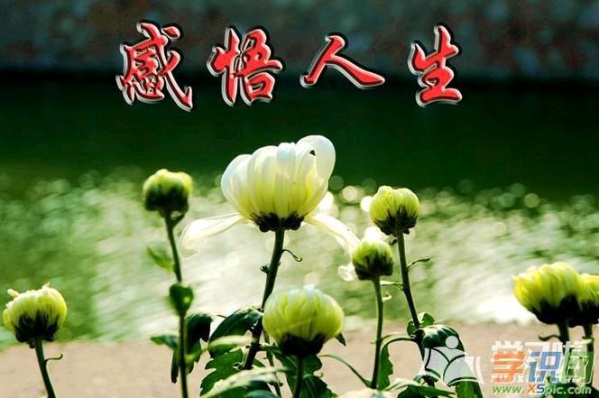 《九江文学社：有声文学》《名家专刊》丘新梅老领导诗作欣赏 主播/紫薇【总第1950期】（图5）
