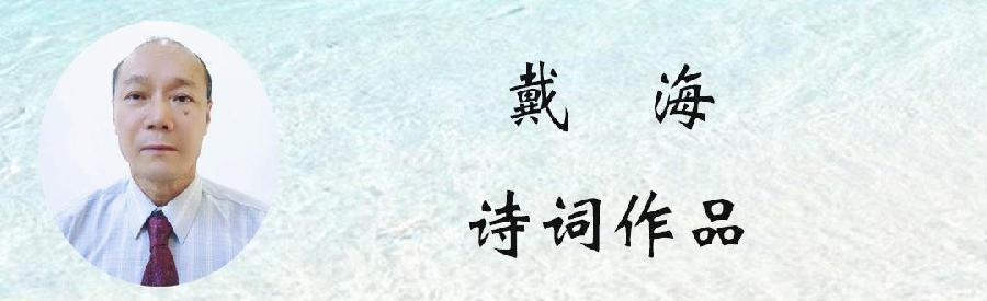 中华诗艺社黑龙江分社微刊第282期（图34）