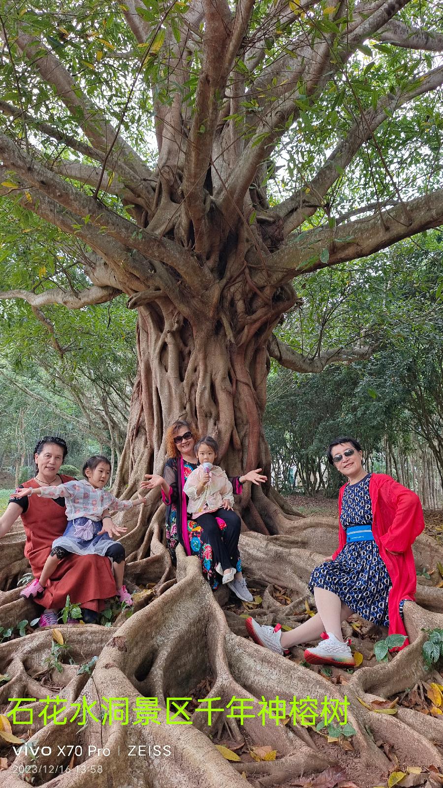 千年神榕树～诗||李耀文（图8）