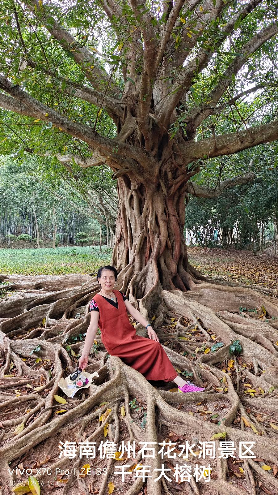 千年神榕树～诗||李耀文（图22）