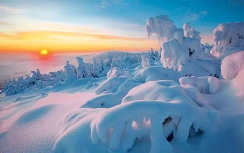 【东方文学荟萃】洛塬雪霁四首||作者|秦健（图3）