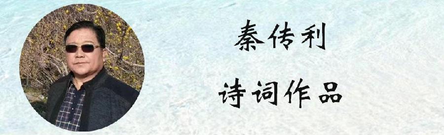 中华诗艺社黑龙江分社微刊第280期(图39)