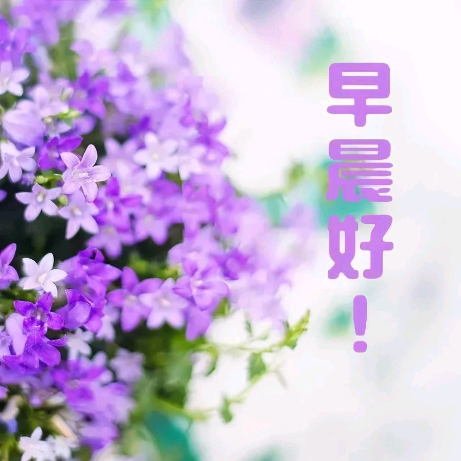 【中国长江文学社】《每日絮语》作者 乡音//主播 绿萝//编辑 岁月静好 第7125期（图3）