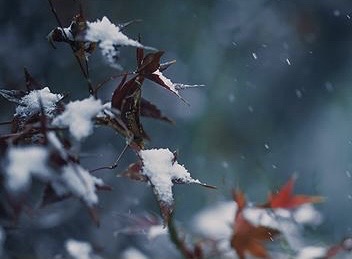 【新诗大观】落雪(诗二首)||文/郭清晓