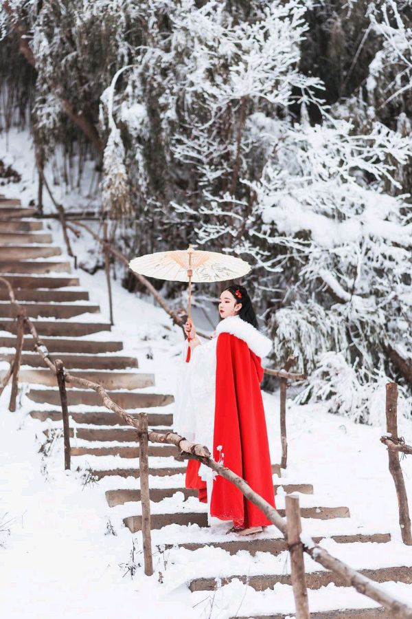 【新山东文学社】《想念一场雪的到来》作者/香香 主播/竹林听雨（图6）